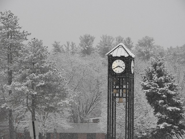 Free Winter Snow photo and picture