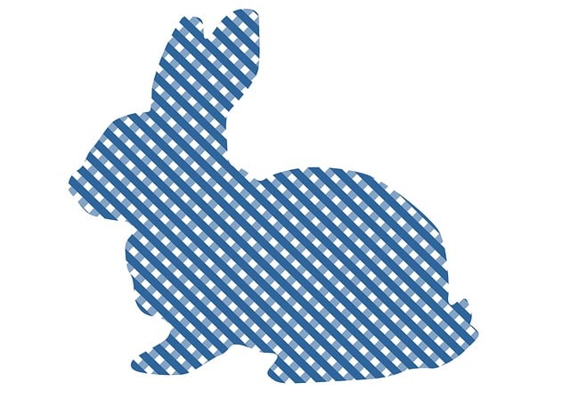 Free Easter Bunny illustration and picture