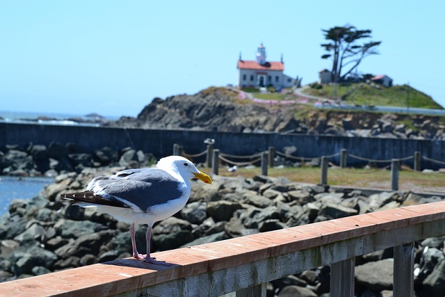 Free Crescent City photo and picture