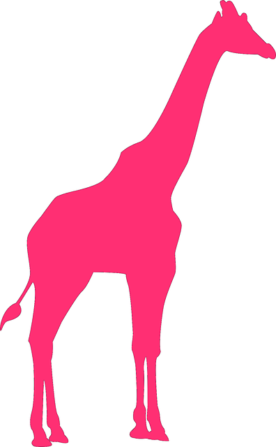 Free Giraffe Animal illustration and picture