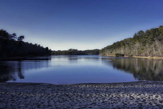 Free Landscape Lake photo and picture