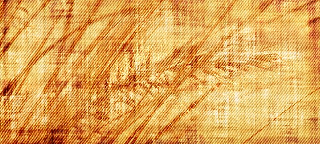 Free grain stalks stationery illustration