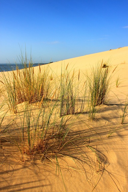Free Pyla Dune Dune photo and picture