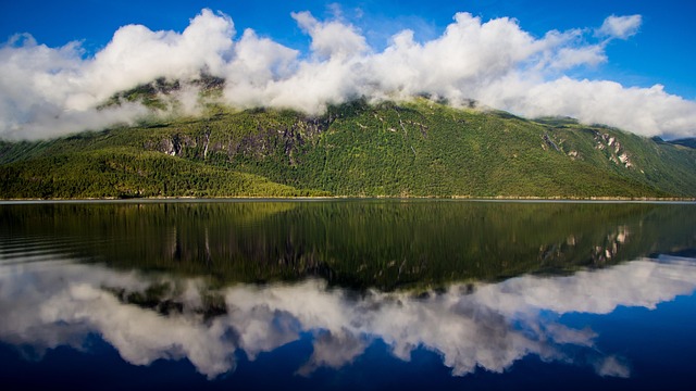 Free Nature Wallpaper Hd photo and picture