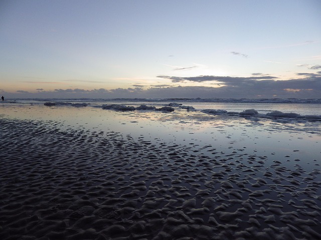 Free Beach Sea photo and picture