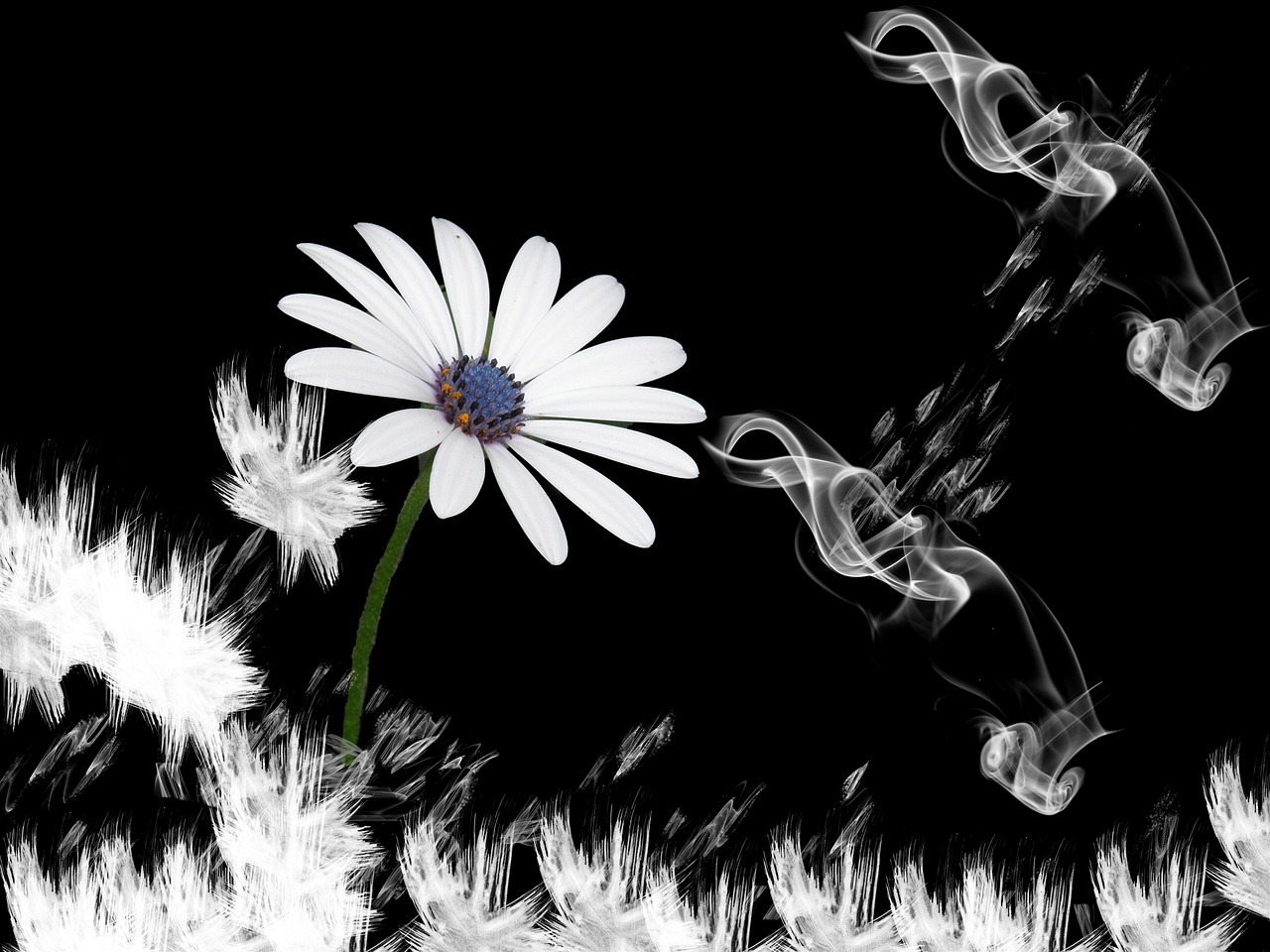 Flower - free online jigsaw puzzle photo