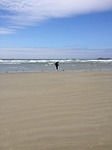 ocean, beach, sky