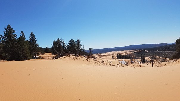 Free Sand Dunes Utah photo and picture