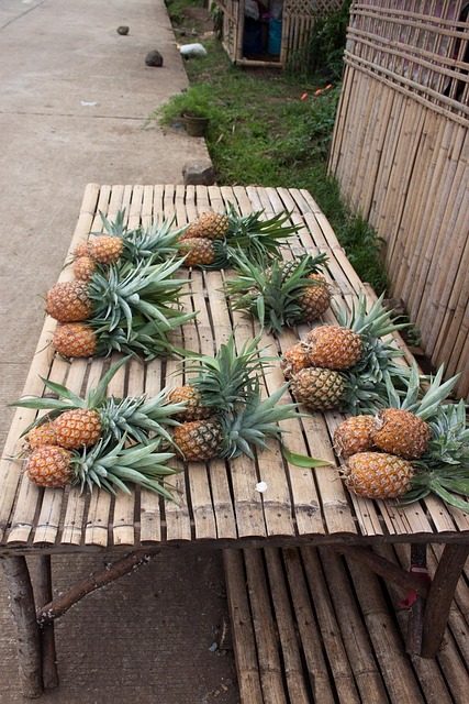 Free Pineapple Fruit photo and picture