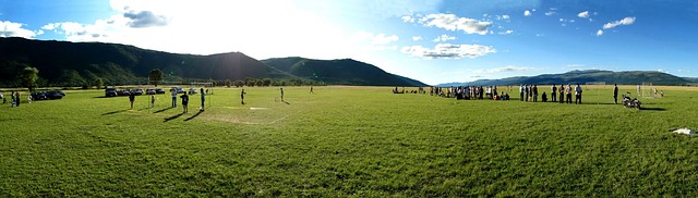 Free Field Grass photo and picture