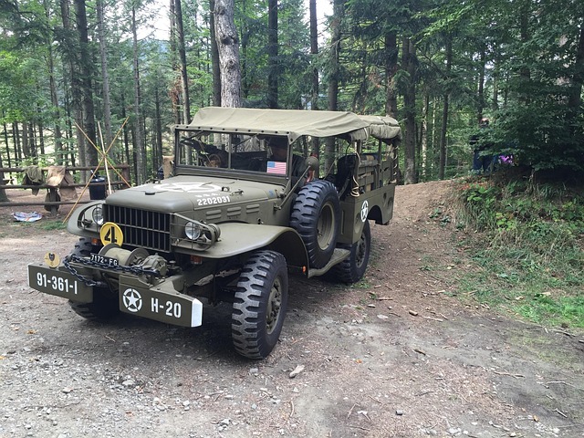 Free Army Jeep photo and picture
