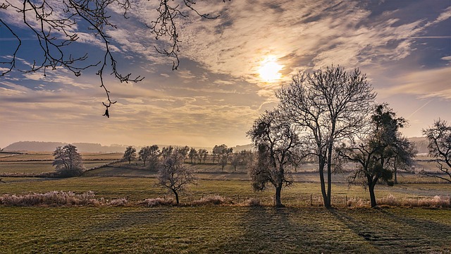 Free Winter Landscape Winter photo and picture