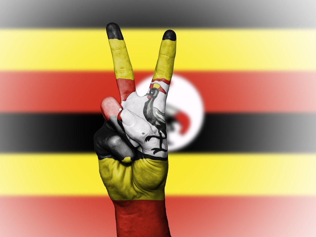 90,000+ Free Ugandan Nature & Nature