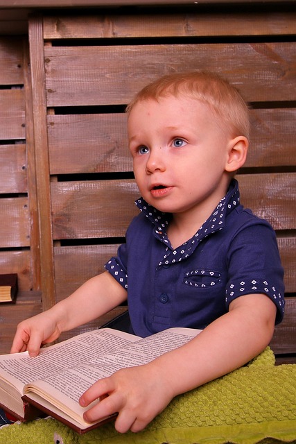 Free Boy Reading photo and picture