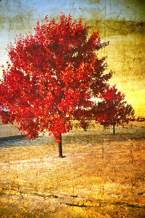 Download Background, Tree, Vintage. Royalty-Free Stock Illustration