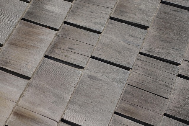 Free Roof Shingles photo and picture