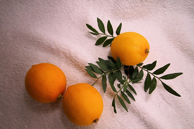 Free Lemon Citrus photo and picture