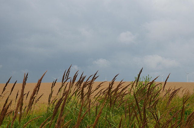 Free Sky Summer photo and picture
