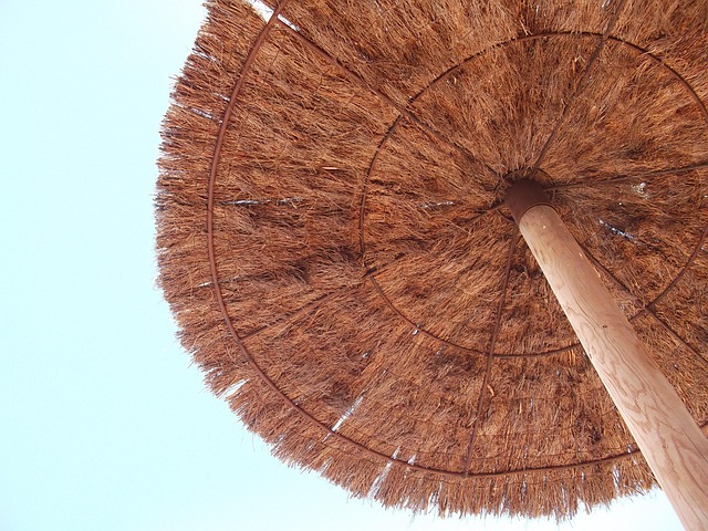 Free Parasol Beach photo and picture