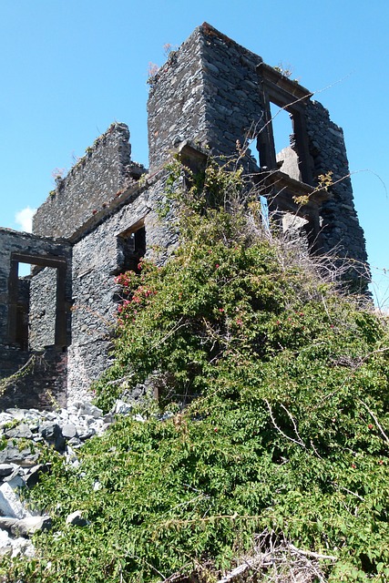Free Ruin House photo and picture