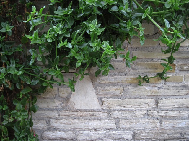 Steen, Muur, Bakstenen Muur Achtergrond