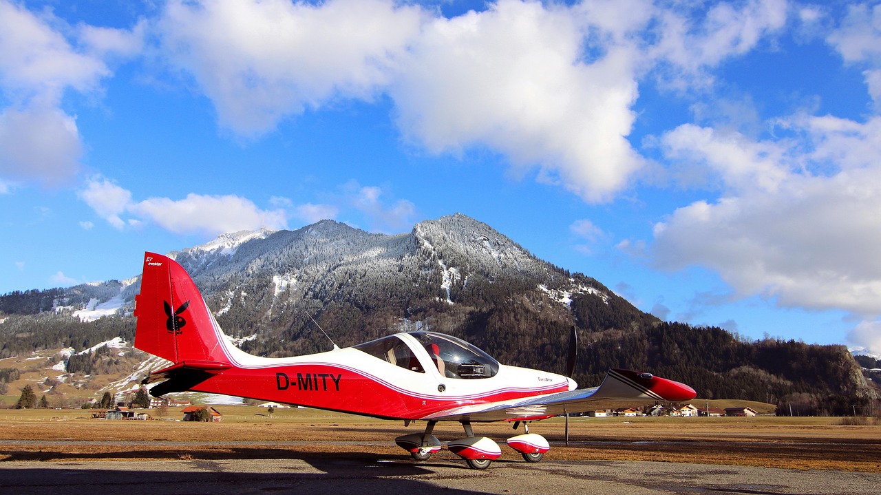 Flying - free online jigsaw puzzle photo