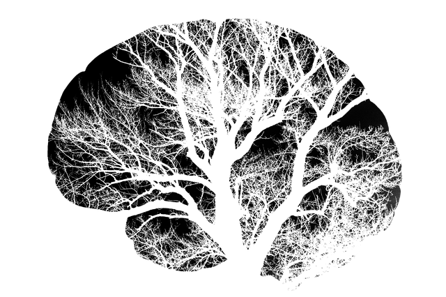 Free brain a tree black illustration