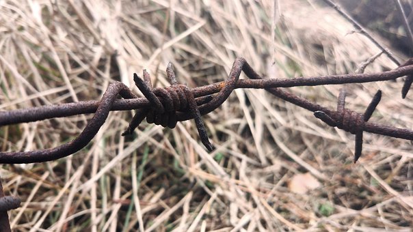 Free Barbed Wire Macro photo and picture