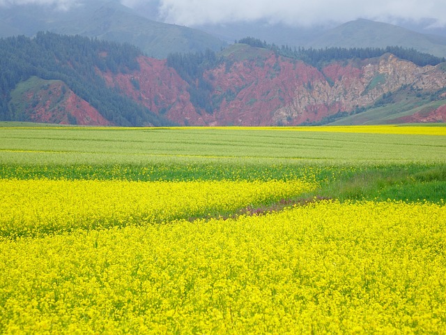 Free The Scenery Scenery photo and picture