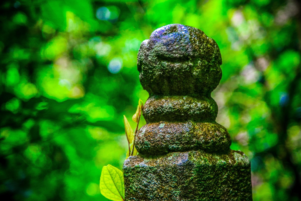 10000 多张免费的“虚化”和“自然”照片 - Pixabay