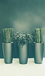 wellness, spa, background