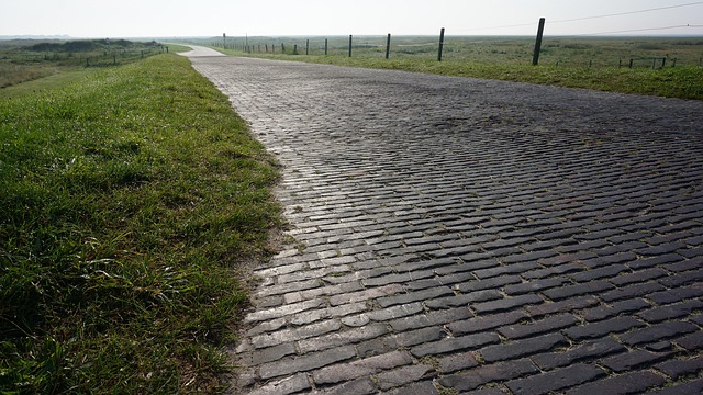 Free Cobblestones Path photo and picture