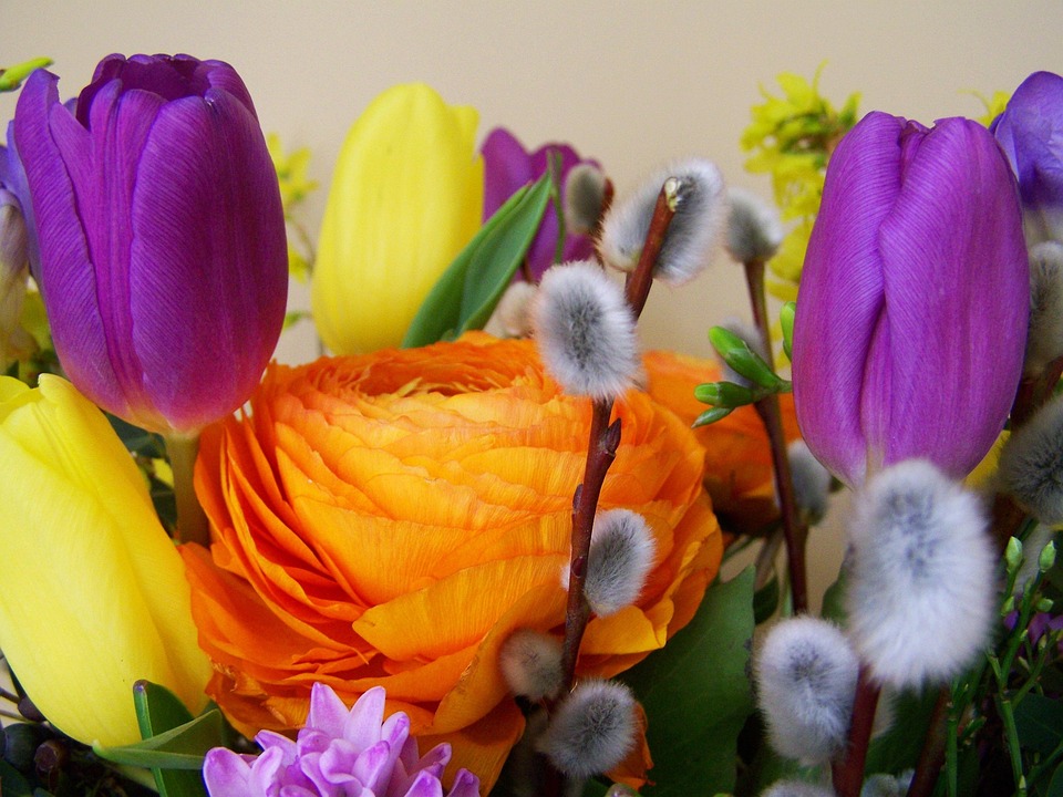 Bunch Of Flowers Color Cut Free photo on Pixabay