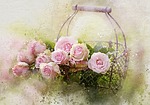 watercolor roses and basket, castleguard, rose