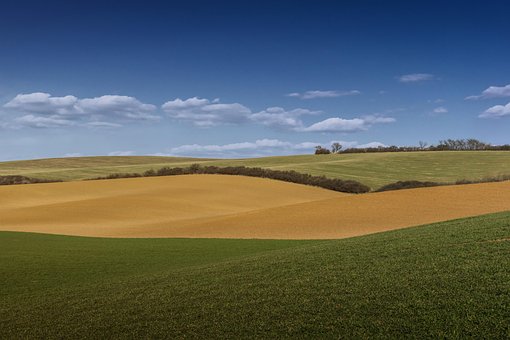 Land, Pol, Krukke, Natur, Himlen