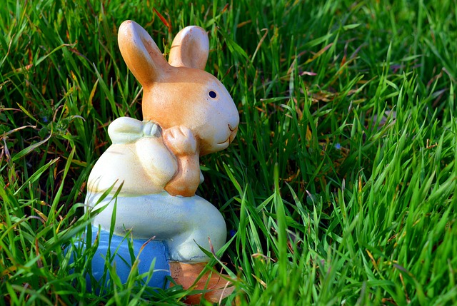 Free Rabbit Easter Bunny photo and picture