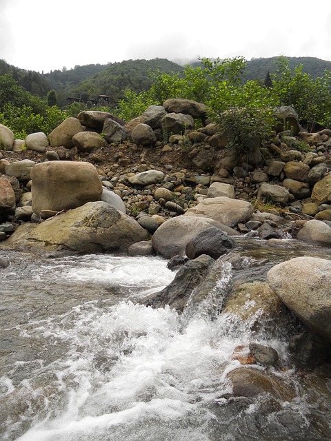 Free River Rocks photo and picture