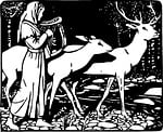 reindeer, deer, stag