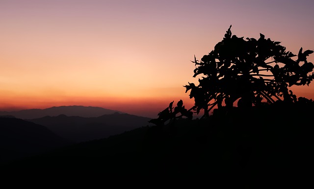 Free Landscape Sunset photo and picture