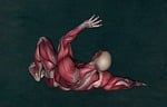 anatomy, muscle, muscular system