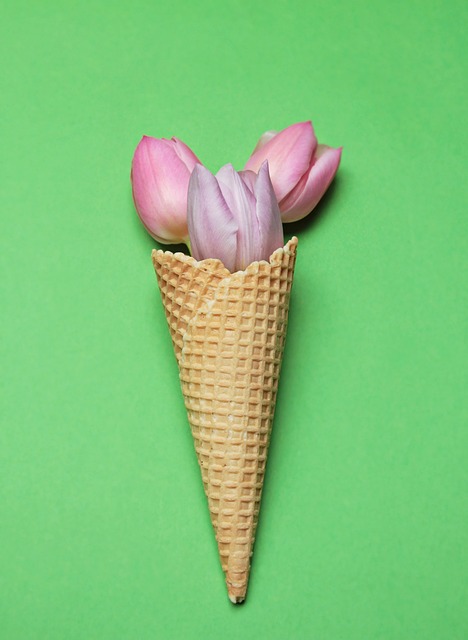 Free Tulips Flower Wallpaper photo and picture