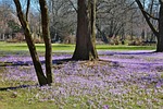 the old botanical garden, munich, bavaria