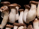 mushrooms, mushroom, vegetables