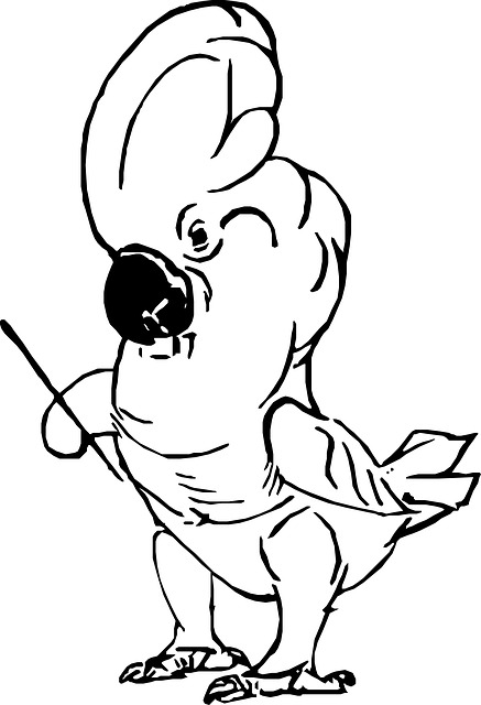 Free sketch drawing parrot illustration