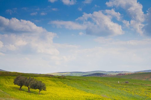 Natur, Grønn, Landskap, Himmel, Utendørs