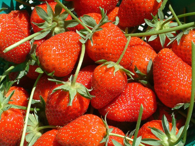 Free Fruit Strawberry photo and picture