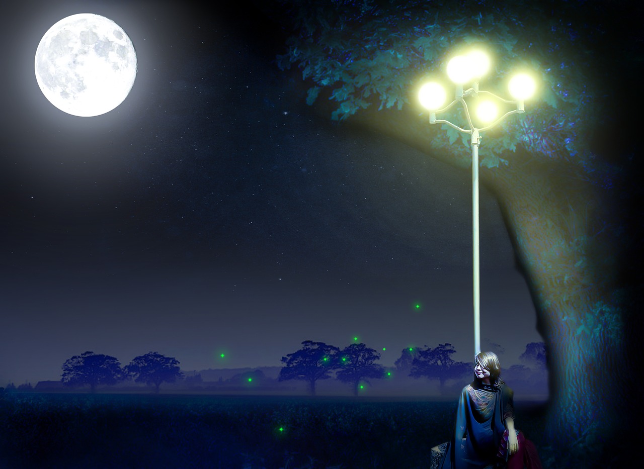 Moonlight - free online jigsaw puzzle photo