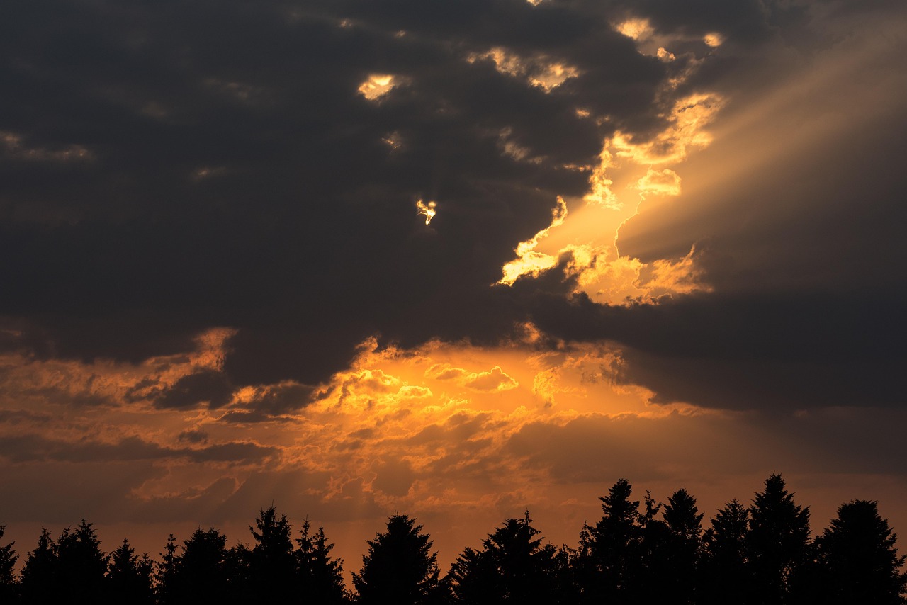 after-the-thunderstorm-2152742_1280.jpg