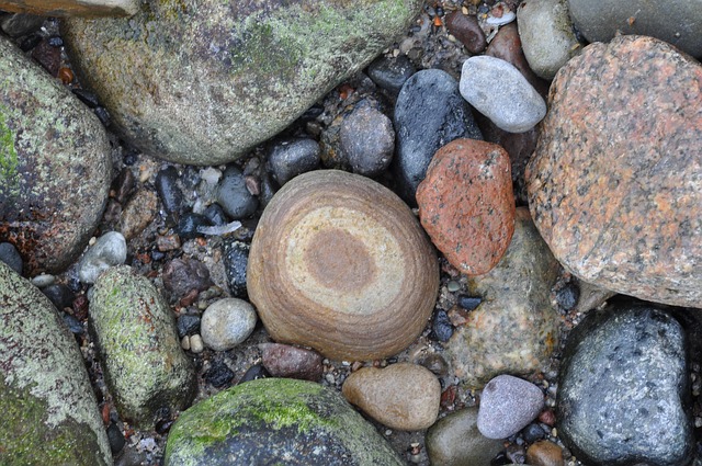 Free Beach Nature photo and picture