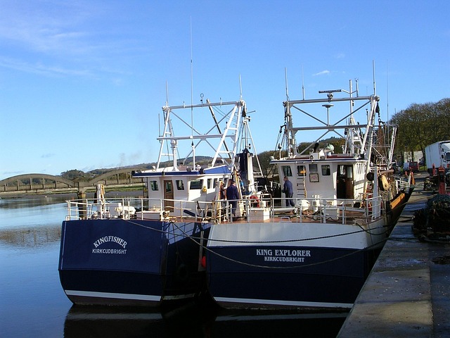 Angeln, Hafen, Blau, Küsten, Sonnig